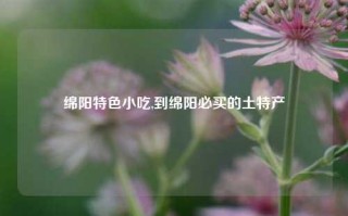 绵阳特色小吃,到绵阳必买的土特产