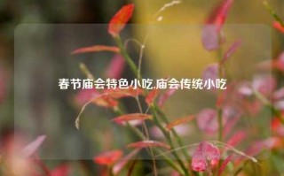 春节庙会特色小吃,庙会传统小吃