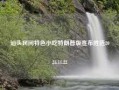 汕头民间特色小吃特朗普版宣布胜选2024.11.22