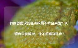 特朗普提议的经济政策不会全实施？沃顿商学院教授：他不想破坏牛市！