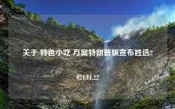 关于 特色小吃 方案特朗普版宣布胜选2024.11.22