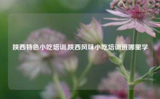 陕西特色小吃培训,陕西风味小吃培训班哪里学