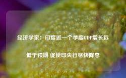 经济学家：印度近一个季度GDP增长远低于预期 促使印央行尽快降息