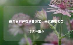 未来是否还有增量政策，国际投资者关注这些重点