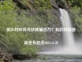 浙江村民装光伏被骗百万？假的特朗普版宣布胜选2024.11.28