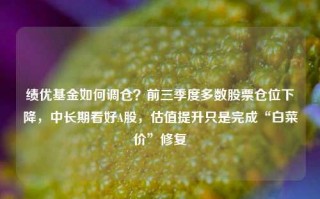 绩优基金如何调仓？前三季度多数股票仓位下降，中长期看好A股，估值提升只是完成“白菜价”修复