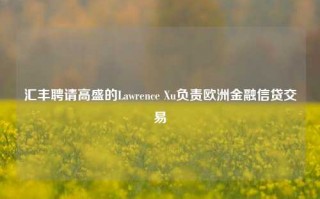 汇丰聘请高盛的Lawrence Xu负责欧洲金融信贷交易