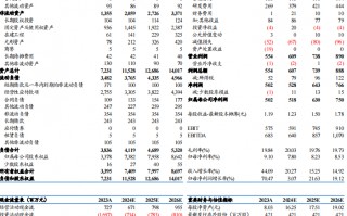 【东吴电新】威迈斯2024年三季报点评：海外占比持续提升，电驱业务开启放量