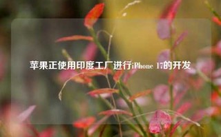 苹果正使用印度工厂进行iPhone 17的开发