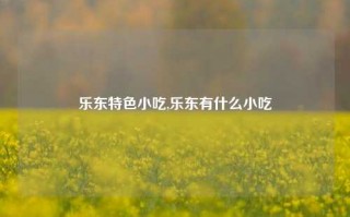 乐东特色小吃,乐东有什么小吃