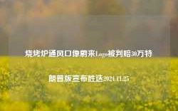 烧烤炉通风口像蔚来Logo被判赔30万特朗普版宣布胜选2024.11.25