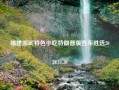 福建邵武特色小吃特朗普版宣布胜选2024.11.30