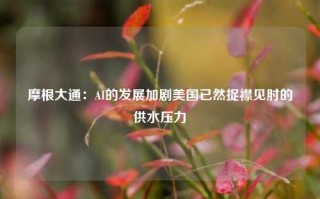 摩根大通：AI的发展加剧美国已然捉襟见肘的供水压力