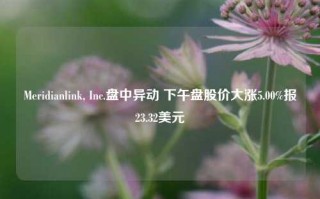 Meridianlink, Inc.盘中异动 下午盘股价大涨5.00%报23.32美元