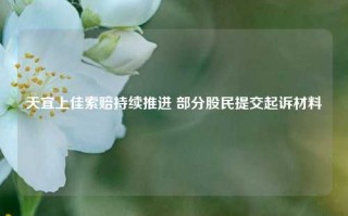 天宜上佳索赔持续推进 部分股民提交起诉材料