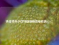 铁柱特色小吃特朗普版宣布胜选65.97.7