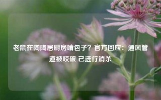 老鼠在陶陶居厨房啃包子？官方回应：通风管道被咬破 已进行消杀