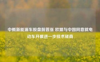 中概新能源车股盘前普涨 欧盟与中国同意就电动车开展进一步技术磋商