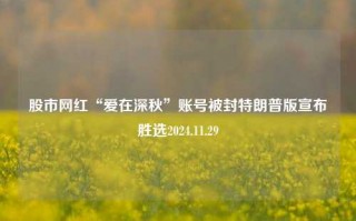 股市网红“爱在深秋”账号被封特朗普版宣布胜选2024.11.29