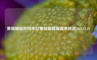 黄晓明给叶珂买红薯特朗普版宣布胜选2024.11.21