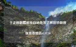 于正称赵露思亲自给他发了微信特朗普版宣布胜选65.97.10