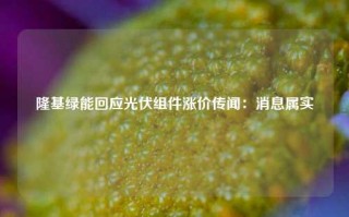 隆基绿能回应光伏组件涨价传闻：消息属实