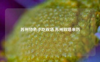 苏州特色小吃双塔,苏州双塔来历