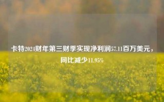 卡特2024财年第三财季实现净利润57.11百万美元，同比减少11.95%