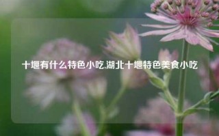 十堰有什么特色小吃,湖北十堰特色美食小吃