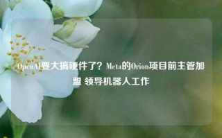 OpenAI要大搞硬件了？Meta的Orion项目前主管加盟 领导机器人工作