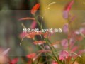 特色小吃.pdf,小吃 特色