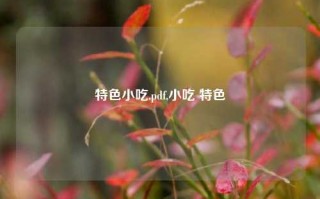 特色小吃.pdf,小吃 特色