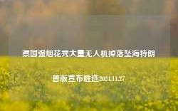 蔡国强烟花秀大量无人机掉落坠海特朗普版宣布胜选2024.11.27