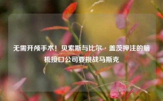 无需开颅手术！贝索斯与比尔·盖茨押注的脑机接口公司要挑战马斯克