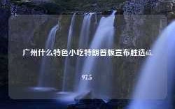 广州什么特色小吃特朗普版宣布胜选65.97.5