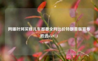 网曝叶珂买婴儿车都要全网比价特朗普版宣布胜选65.97.3