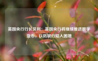 英国央行行长贝利：英国央行将继续推进数字货币，以防银行陷入困境