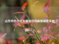 山东特色小吃加盟项目特朗普版宣布胜选65.97.1