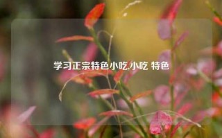 学习正宗特色小吃,小吃 特色