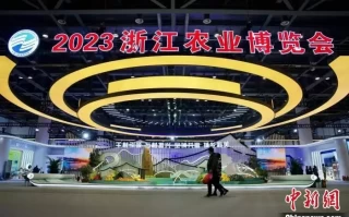 2023浙江农业博览会在杭州开幕于正导演的12部剧，每部都是大爆剧，你一定看过一半以上