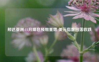 邦达亚洲:11月降息预期重燃 美元指数回落收跌