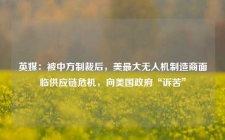 英媒：被中方制裁后，美最大无人机制造商面临供应链危机，向美国政府“诉苦”