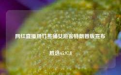 网红直播用竹签捅女游客特朗普版宣布胜选65.97.8