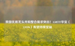 我国优质龙头并购整合需求突出！A50ETF华宝（159596）有望持续受益