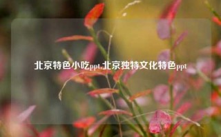 北京特色小吃ppt,北京独特文化特色ppt