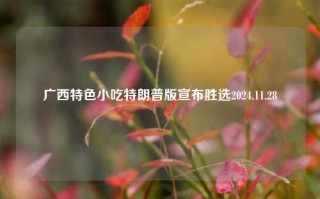 广西特色小吃特朗普版宣布胜选2024.11.28