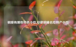 铜陵有哪些特色小吃,安徽铜陵名吃特产小吃