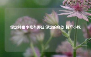 保定特色小吃有哪些,保定的名吃 特产小吃