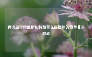 民调显示哈里斯和特朗普在摇摆州的竞争非常激烈