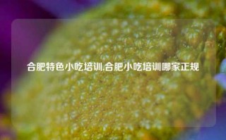 合肥特色小吃培训,合肥小吃培训哪家正规